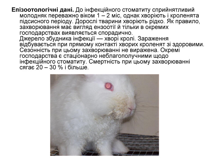 Реферат: Шлунково-кишкові захворювання кролів. Поїдання плодів. Хвороби органів дихання у кролів