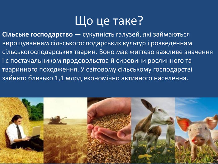 Реферат: Сільське господарство i харчова промисловість України