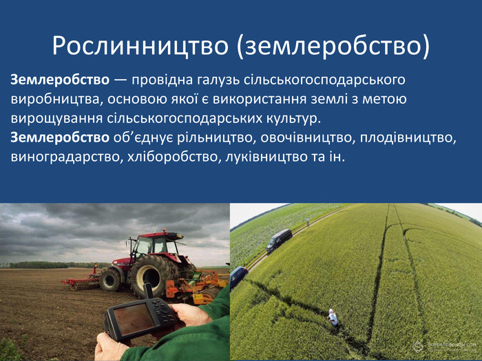 Реферат: Основні напрями хімізації виробництва сільського господарства