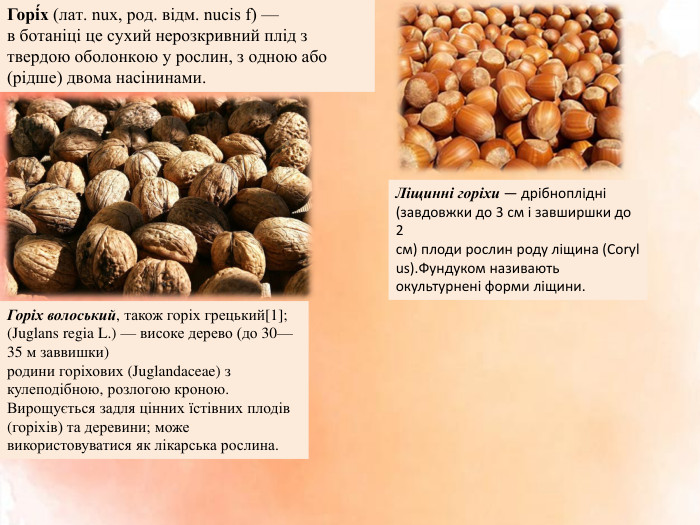 Горі́х (лат. nux, род. відм. nucis f) — в ботаніці це сухий нерозкривний плід з твердою оболонкою у рослин, з одною або (рідше) двома насінинами. Ліщинні горіхи — дрібноплідні (завдовжки до 3 см і завширшки до 2 см) плоди рослин роду ліщина (Corylus). Фундуком називають окультурнені форми ліщини. Горіх волоський, також горіх грецький[1]; (Juglans regia L.) — високе дерево (до 30—35 м заввишки) родини горіхових (Juglandaceae) з кулеподібною, розлогою кроною. Вирощується задля цінних їстівних плодів (горіхів) та деревини; може використовуватися як лікарська рослина.