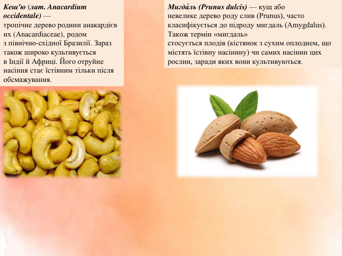 Кеш'ю (лат. Anacardium occidentale) — тропічне дерево родини анакардієвих (Anacardiaceae), родом з північно-східної Бразилії. Зараз також широко культивується в Індії й Африці. Його отруйне насіння стає їстівним тільки після обсмажування. Мигда́ль (Prunus dulcis) — кущ або невелике дерево роду слив (Prunus), часто класифікується до підроду мигдаль (Amygdalus). Також термін «мигдаль» стосується плодів (кістянок з сухим оплоднем, що містять їстівну насінину) чи самих насінин цих рослин, заради яких вони культивуються.