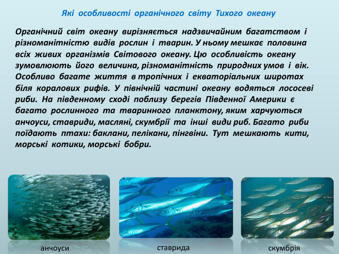  Які особливості органічного світу Тихого океану. Органічний світ океану вирізняється надзвичайним багатством і різноманітністю видів рослин і тварин. У ньому мешкає половина всіх живих організмів Світового океану. Цю особливість океану зумовлюють його величина, різноманітність природних умов і вік. Особливо багате життя в тропічних і екваторіальних широтах біля коралових рифів. У північній частині океану водяться лососеві риби. На південному сході поблизу берегів Південної Америки є багато рослинного та тваринного планктону, яким харчуються анчоуси, ставриди, масляні, скумбрії та інші види риб. Багато риби поїдають птахи: баклани, пелікани, пінгвіни. Тут мешкають кити, морські котики, морські бобри.анчоусиставридаскумбрія