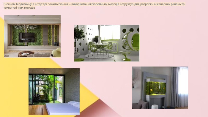Сучасні стилі інтер'єрів (авангард, біодизайн, мінімалізм, ар-деко, поп-арт, стиль «фьюжн», хай-тек, футуродизайн, еко-стиль, шеббі-шик, кантрі, модернізм, конструктивізм, кітч, лофт, неокласика, авторський дизайн, етнодизайн)Підготувала Спіленко О. К. В основі біодизайну в інтер’єрі лежить біоніка – використання біологічних методів і структур для розробки інженерних рішень та технологічних методів