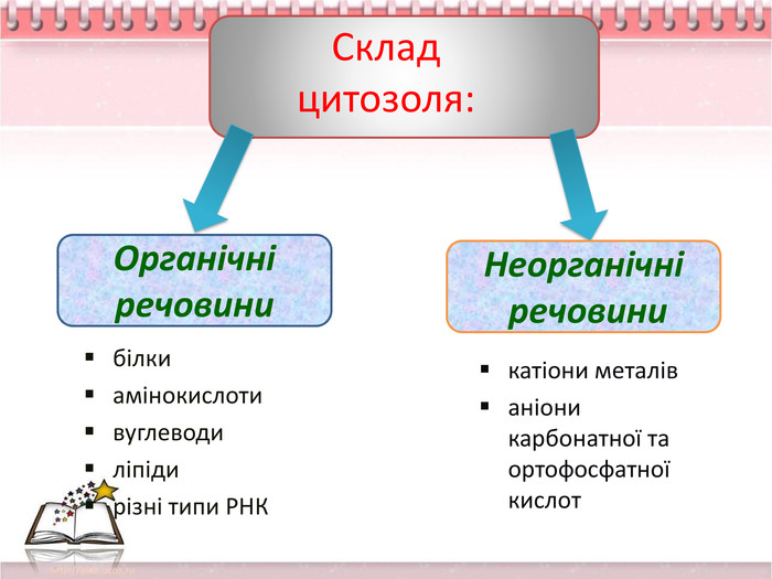 Склад цитозоля:білкиамінокислотивуглеводиліпідирізні типи РНКкатіони металіваніони карбонатної та ортофосфатної кислот. Органічні речовини. Неорганічні речовини