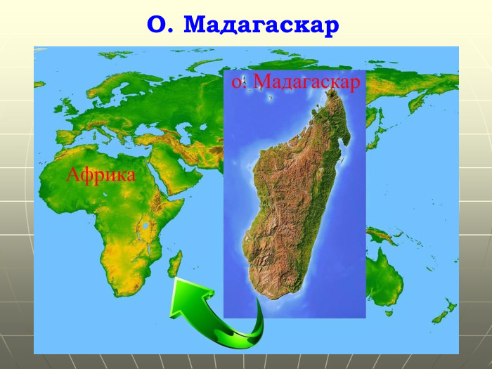 О. Мадагаскар