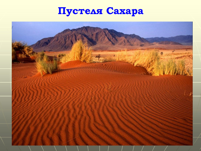 Пустеля Сахара. Гришельова Т.І.,учитель географії Запорізької ЗШ Апостолівського району