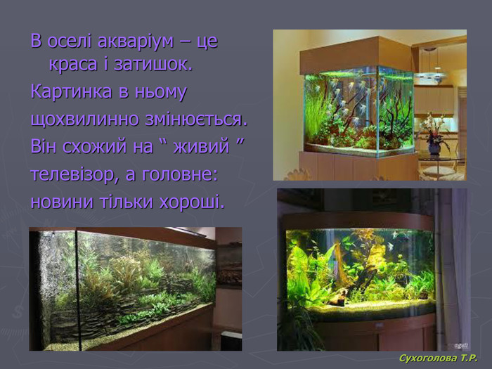 Сухоголова Т.Р. В оселі акваріум – це краса і затишок. Картинка в ньому  щохвилинно змінюється. Він схожий на “ живий ” телевізор, а головне: новини тільки хороші. 