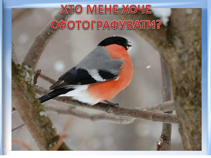 ХТО МЕНЕ ХОЧЕ СФОТОГРАФУВАТИ?