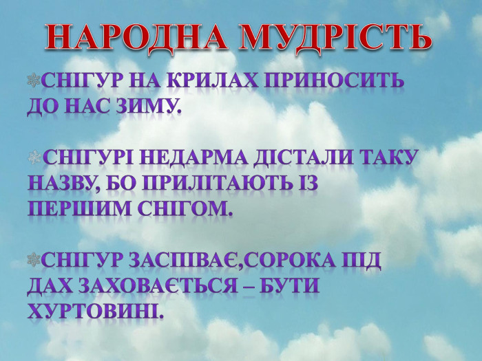 НАРОДНА МУДРІСТЬСнігур на крилах приносить до нас зиму. Снігурі недарма дістали таку назву, бо прилітають із першим снігом. Снігур заспіває,сорока під дах заховається – бути хуртовині.