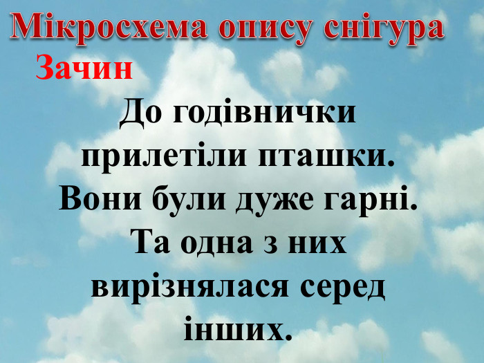 Мікросхема опису снігура. Зачин. До годівнички прилетіли пташки. Вони були дуже гарні. Та одна з них вирізнялася серед інших.