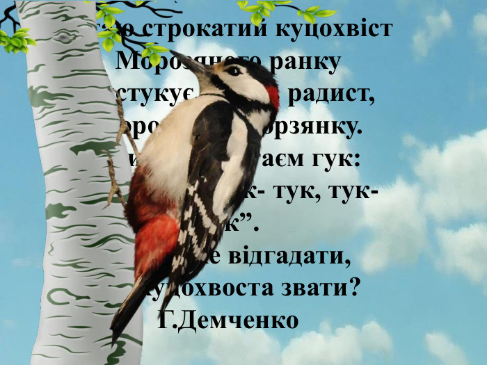 В гаю строкатий куцохвіст. Морозяного ранку. Вистукує, немов радист,Морозяну – морзянку.І лине, лине гаєм гук:“ Тук- тук, тук- тук, тук- тук”. Хто може відгадати,Як куцохвоста звати?Г. Демченкоstyle.font. Family