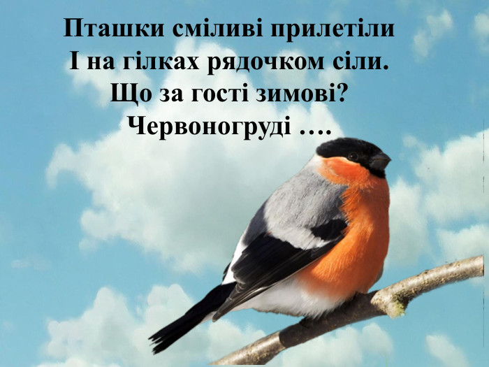 Пташки сміливі прилетілиІ на гілках рядочком сіли. Що за гості зимові?Червоногруді ….style.font. Family