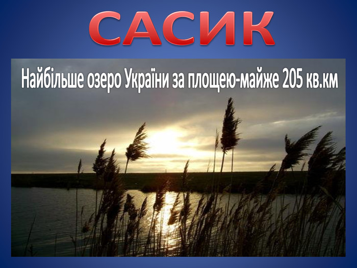 САСИКНайбільше озеро України за площею-майже 205 кв.км