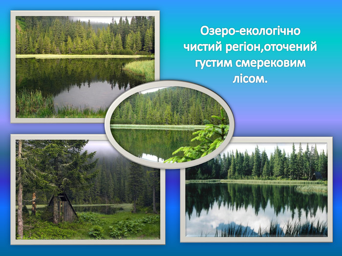 Озеро-екологічно чистий регіон,оточений густим смерековим лісом.