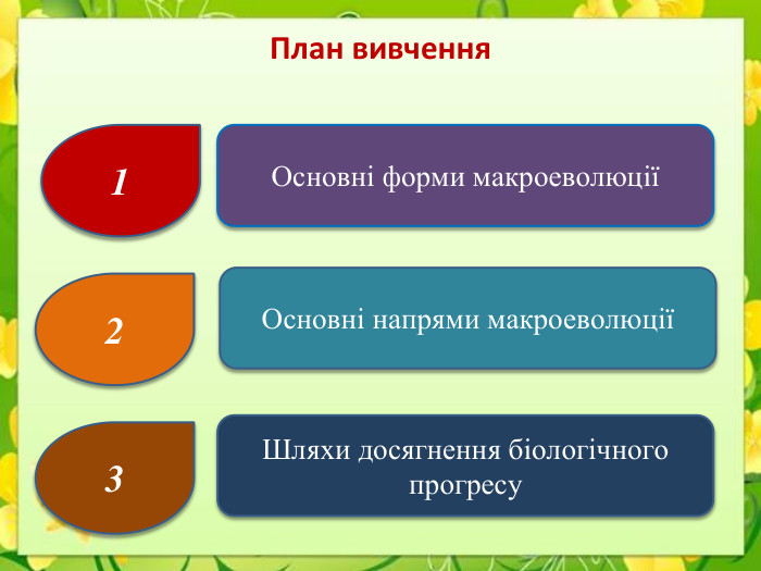Основні форми макроеволюції1 Основні напрями макроеволюції2 Шляхи досягнення біологічного прогресу3 План вивчення