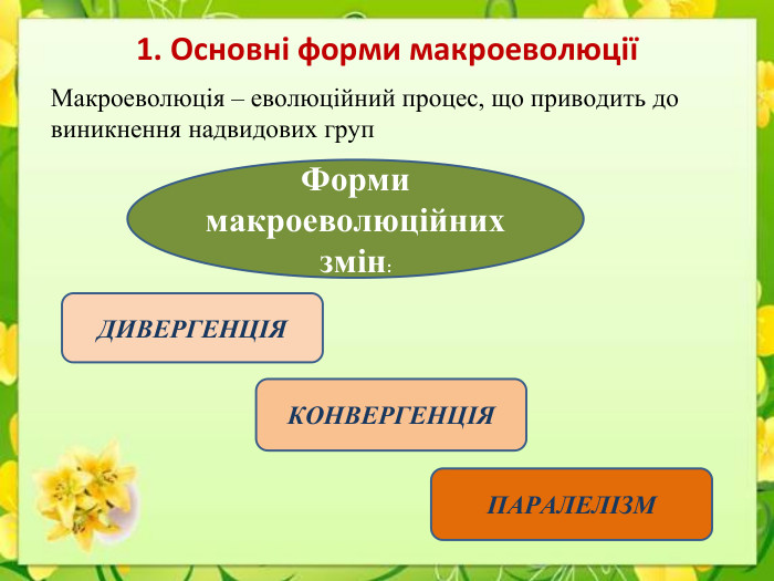 1. Основні форми макроеволюціїМакроеволюція – еволюційний процес, що приводить до виникнення надвидових груп. Форми макроеволюційних змін: ДИВЕРГЕНЦІЯКОНВЕРГЕНЦІЯПАРАЛЕЛІЗМ