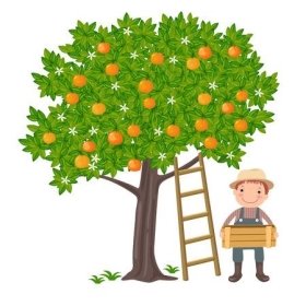 C:\Users\Admin\Desktop\40625044-a-vector-illustration-of-a-cute-boy-picking-oranges-from-the-tree.jpg