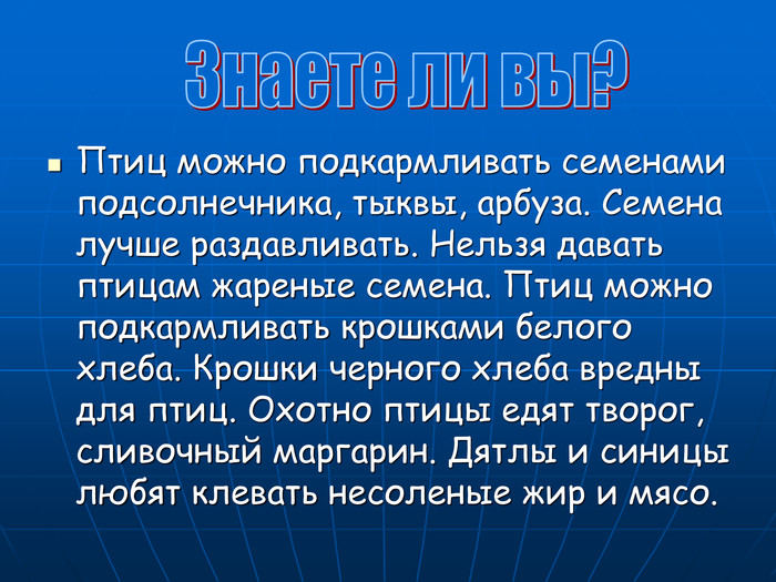 Рассказываем, чем нельзя кормить птиц в холода