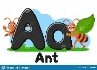 Alphabet of animals, ant carries a leaf the letter Aa on a white background. Preschool education.