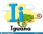 Letter i with animal, iguana on a white. Alphabet for children