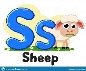 Letters of the alphabet of animals Ss with a sheep chewing grass. Preschool education.