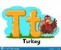 Alphabet turkey waving his wing, the letter Tt on a white. Preschool education.