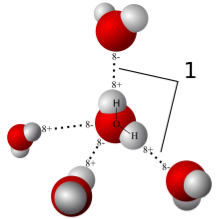 https://upload.wikimedia.org/wikipedia/commons/thumb/c/c6/3D_model_hydrogen_bonds_in_water.svg/220px-3D_model_hydrogen_bonds_in_water.svg.png