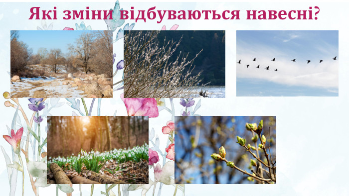 Які зміни відбуваються навесні?