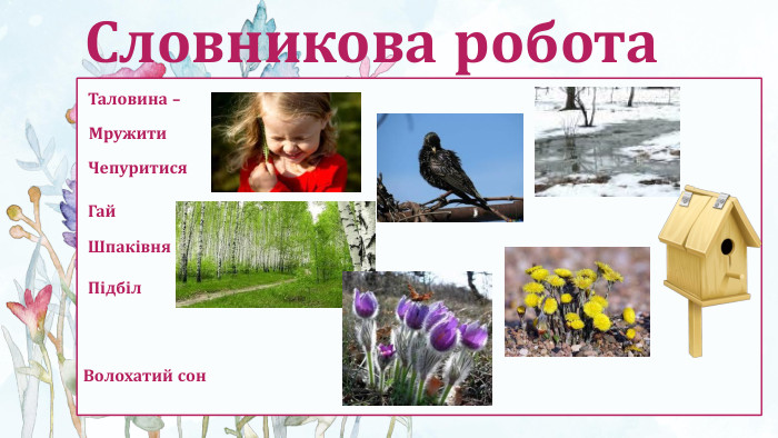 Словникова робота. Волохатий сон. Таловина -Мружити. Чепуритися. Гай. Шпаківня. Підбіл
