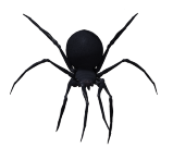 паук каракурт, черный, рисунок, вид сверху PNG на прозрачном фоне.
