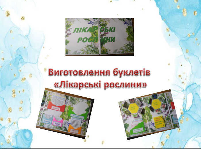 Виготовлення буклетів «Лікарські рослини»