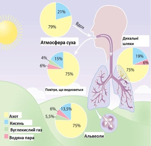 C:\Users\Іра\Desktop\sostav_vozduha.jpg