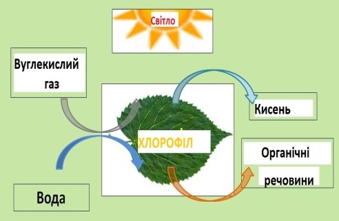 C:\Users\Іра\Desktop\008.jpg