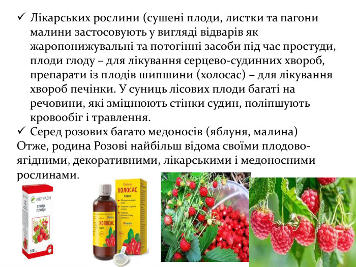 Лікарських рослини (сушені плоди, листки та пагони малини застосовують у вигляді відварів як жаропонижувальні та потогінні засоби під час простуди, плоди глоду – для лікування серцево-судинних хвороб, препарати із плодів шипшини (холосас) – для лікування хвороб печінки. У суниць лісових плоди багаті на речовини, які зміцнюють стінки судин, поліпшують кровообіг і травлення. Серед розових багато медоносів (яблуня, малина)Отже, родина Розові найбільш відома своїми плодово-ягідними, декоративними, лікарськими і медоносними рослинами.