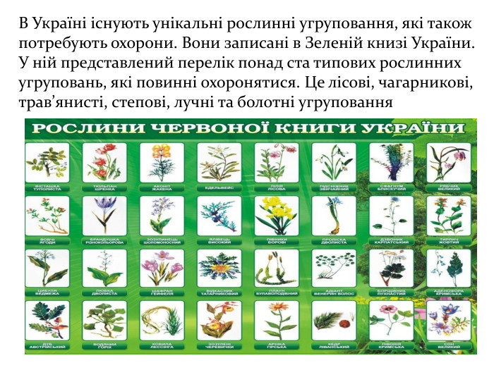 В Україні існують унікальні рослинні угруповання, які також потребують охорони. Вони записані в Зеленій книзі України. У ній представлений перелік понад ста типових рослинних угруповань, які повинні охоронятися. Це лісові, чагарникові, трав’янисті, степові, лучні та болотні угруповання