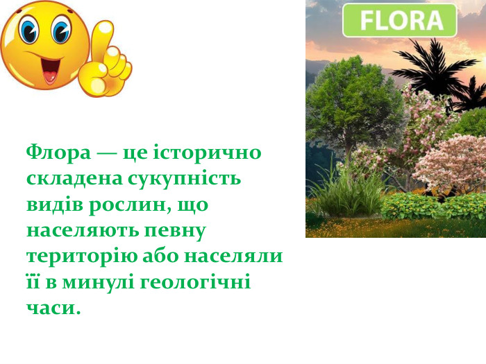 Флора — це історично складена сукупність видів рослин, що населяють певну територію або населяли її в минулі геологічні часи.
