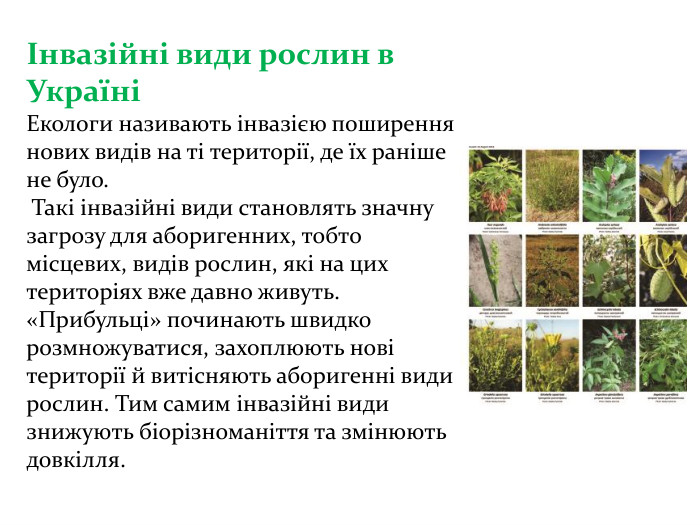 Інвазійні види рослин в Україні Екологи називають інвазією поширення нових видів на ті території, де їх раніше не було. Такі інвазійні види становлять значну загрозу для аборигенних, тобто місцевих, видів рослин, які на цих територіях вже давно живуть. «Прибульці» починають швидко розмножуватися, захоплюють нові території й витісняють аборигенні види рослин. Тим самим інвазійні види знижують біорізноманіття та змінюють довкілля. 