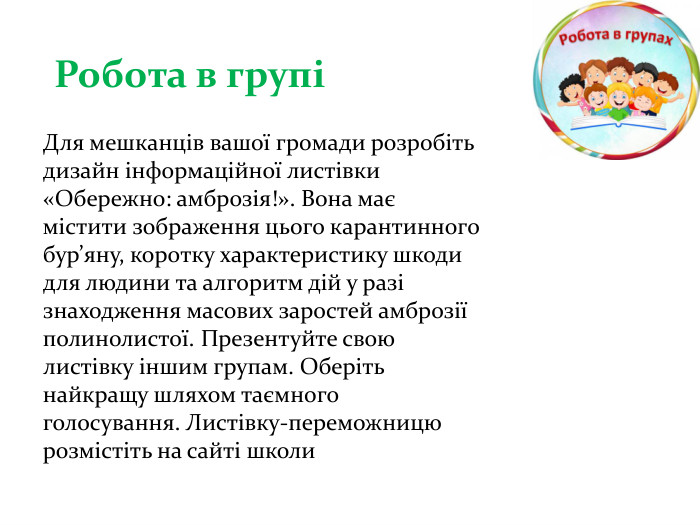 Для мешканців вашої громади розробіть дизайн інформаційної листівки «Обережно: амброзія!». Вона має містити зображення цього карантинного бур’яну, коротку характеристику шкоди для людини та алгоритм дій у разі знаходження масових заростей амброзії полинолистої. Презентуйте свою листівку іншим групам. Оберіть найкращу шляхом таємного голосування. Листівку-переможницю розмістіть на сайті школи. Робота в групі