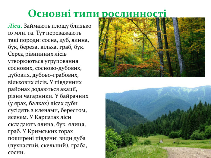 Основні типи рослинностіЛіси. Займають площу близько 10 млн. га. Тут переважають такі породи: сосна, дуб, ялина, бук, береза, вільха, граб, бук. Серед рівнинних лісів утворюються угруповання соснових, сосново-дубових, дубових, дубово-грабових, вільхових лісів. У південних районах додаються акації, різни чагарники. У байрачних (у ярах, балках) лісах дуби сусідять з кленами, берестом, ясенем. У Карпатах ліси складають ялина, бук, ялиця, граб. У Кримських горах поширені південні види дуба (пухнастий, скельний), граба, сосни.