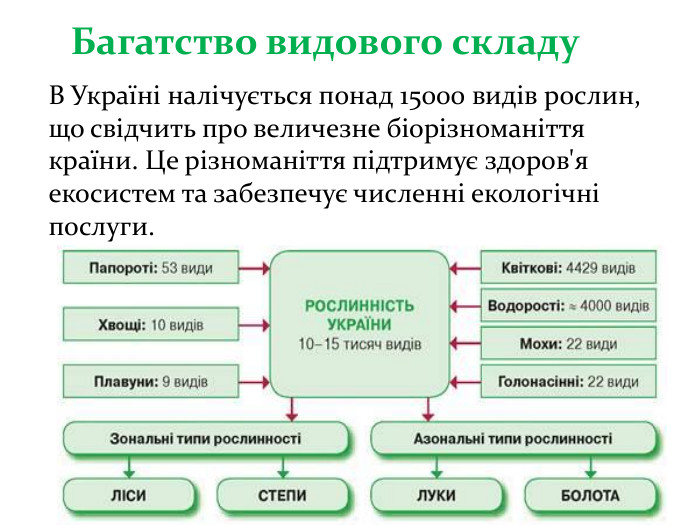 Багатство видового складу. В Україні налічується понад 15000 видів рослин, що свідчить про величезне біорізноманіття країни. Це різноманіття підтримує здоров'я екосистем та забезпечує численні екологічні послуги.
