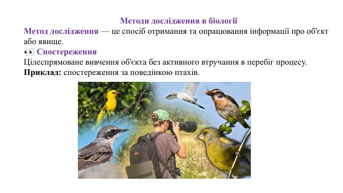 Методи дослідження в біологіїМетод дослідження — це спосіб отримання та опрацювання інформації про об'єкт або явище.👀 Спостереження. Цілеспрямоване вивчення об'єкта без активного втручання в перебіг процесу. Приклад: спостереження за поведінкою птахів.