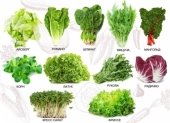 C:\Рабочие документы\інклюзивна освіта\уроки біологія\однорічні рослини овочеві\vidy-salata.jpg