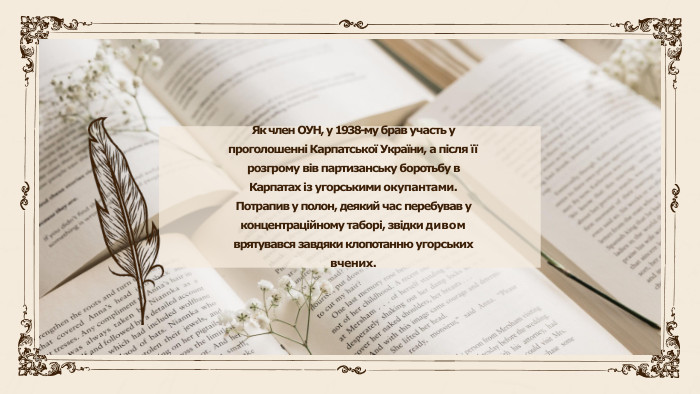 Як член ОУН, у 1938-му брав участь у проголошенні Карпатської України, а після її розгрому вів партизанську боротьбу в Карпатах із угорськими окупантами. Потрапив у полон, деякий час перебував у концентраційному таборі, звідки дивом врятувався завдяки клопотанню угорських вчених.