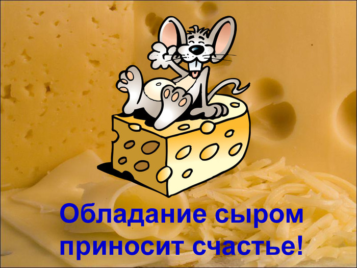 Обладание сыром приносит счастье! 