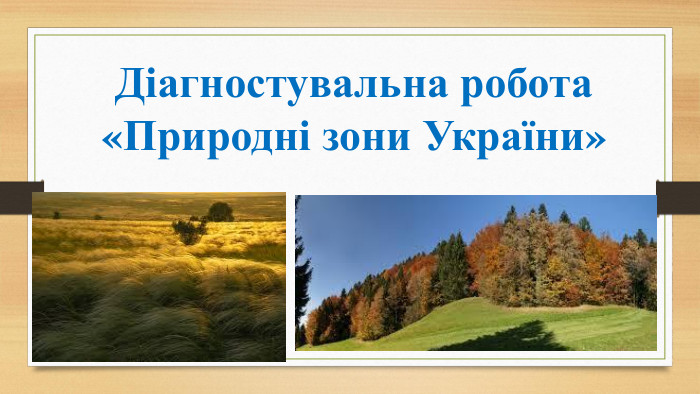 Діагностувальна робота «Природні зони України»