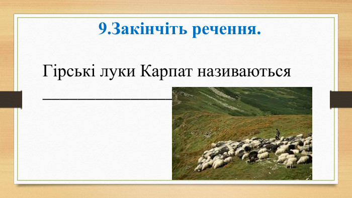 9. Закінчіть речення. Гірські луки Карпат називаються ______________________