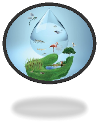 ГЕО-дата. 2 февраля — Всемирный день водно-болотных угодий - 2 Февраля 2016  - ГЕОландия - Ассоциативная география