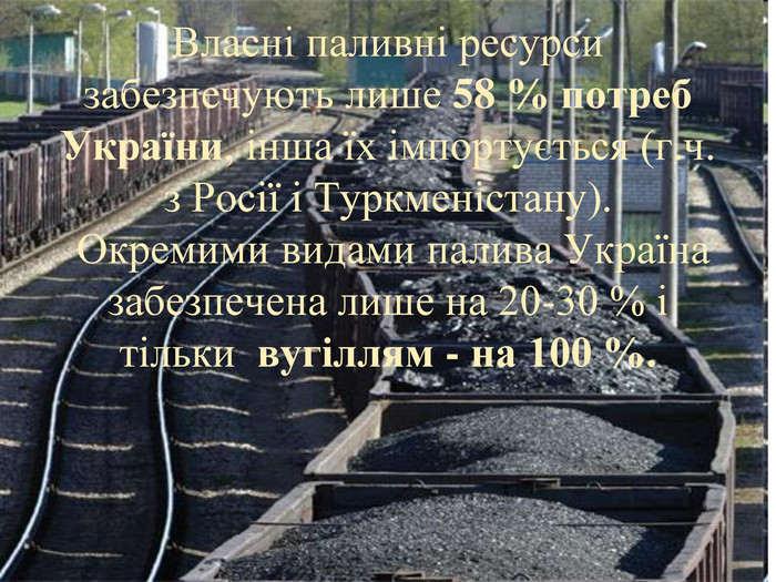 Власні паливні ресурси забезпечують лише 58 % потреб України, інша їх імпортується (г.ч. з Росії і Туркменістану).  Окремими видами палива Україна забезпечена лише на 20-30 % і тільки  вугіллям - на 100 %.  