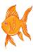 Золотая рыбка PNG