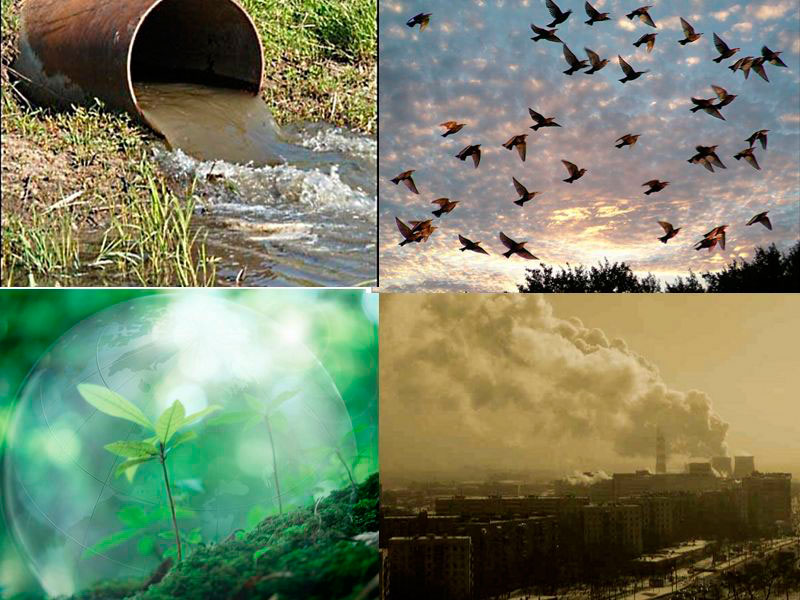Загрязнение природных зон. Загрязнение природы. Природа экология. Окружающая среда. Экология загрязнение окружающей среды.